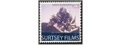 Surtsey Films Consultor de Marketing Digital